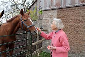 Meet Dinnie Greenway, she`s 96 and still riding horses